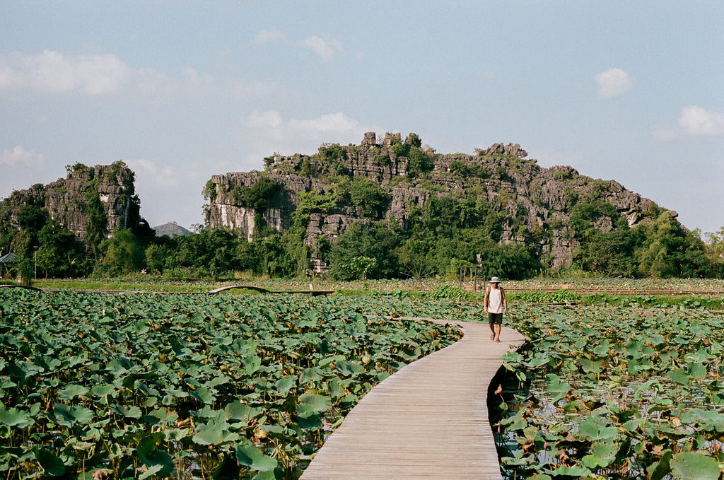 Lotus Walk