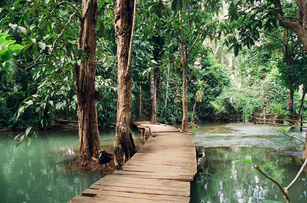 KUANG SI FALLS BRIDGE
