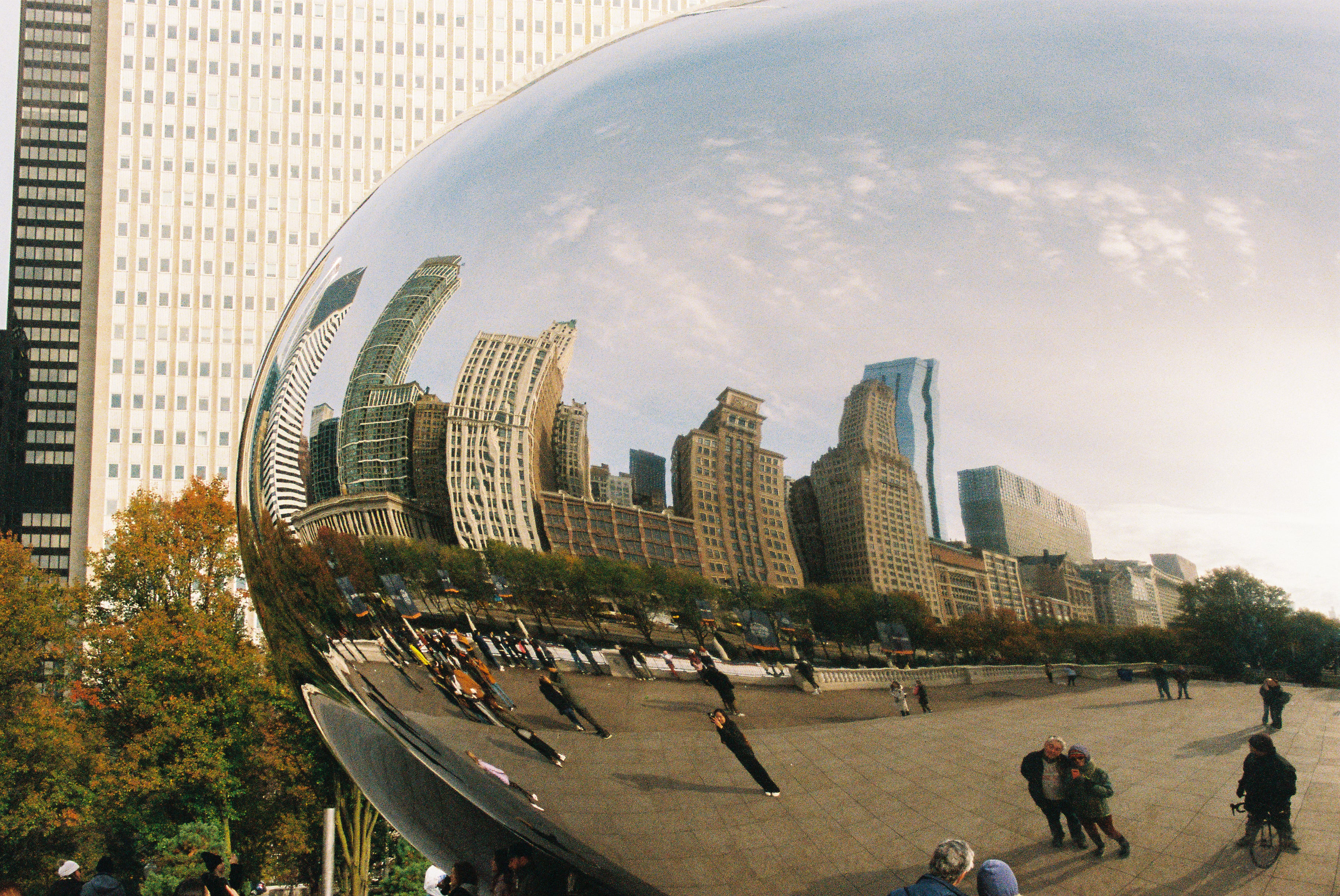 THE BEAN