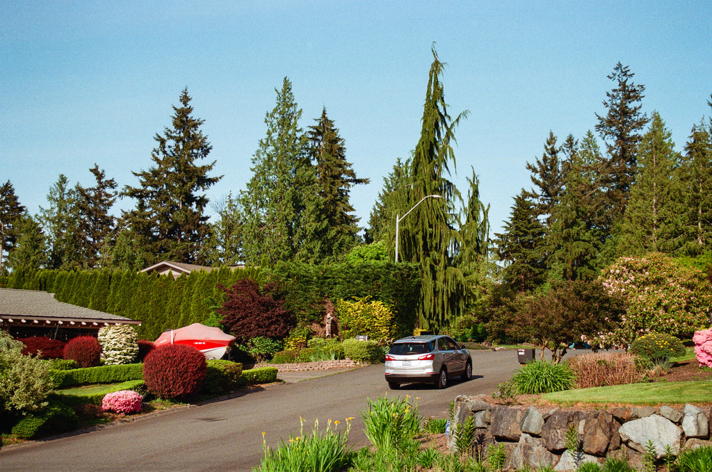 EVERETT SUBURBAN SPRING