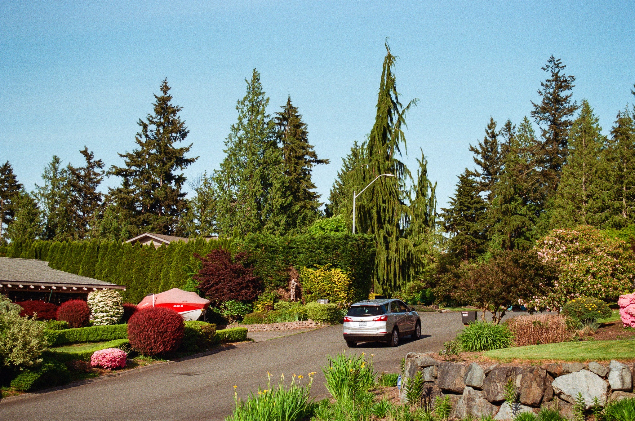 EVERETT SUBURBAN SPRING